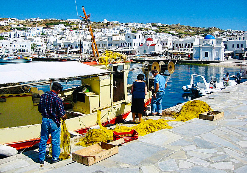 I fiskhamnen i Mykonos stad kan du köpa färsk fisk och färska skaldjur. 