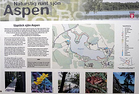 Sjön Aspen.