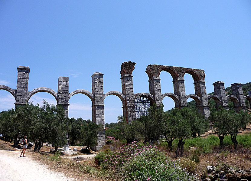 Den romerska akvedukten i Moria på Lesbos.