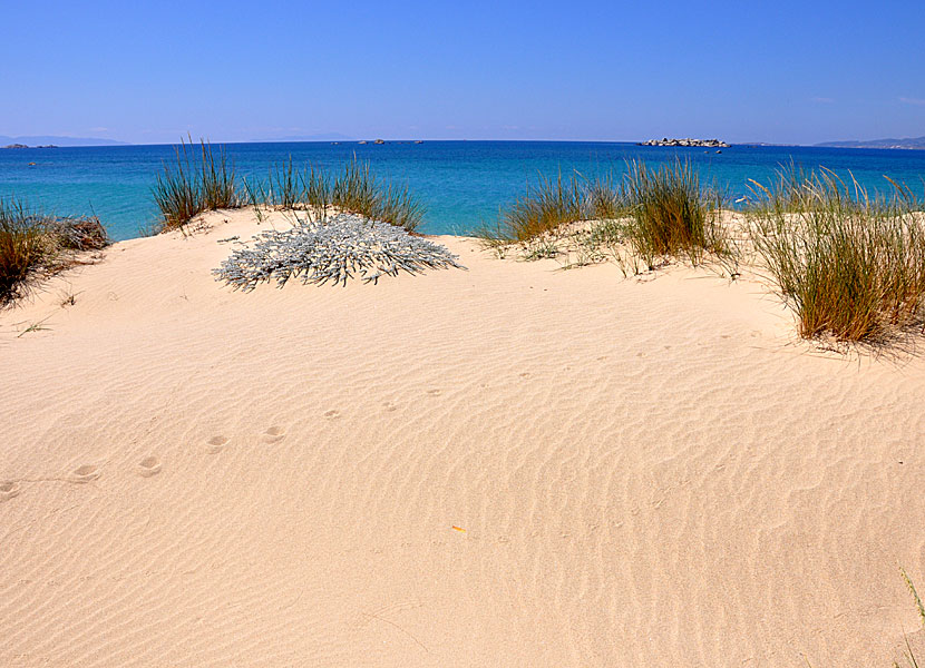 Sandyner vid Plaka beach på Naxos.