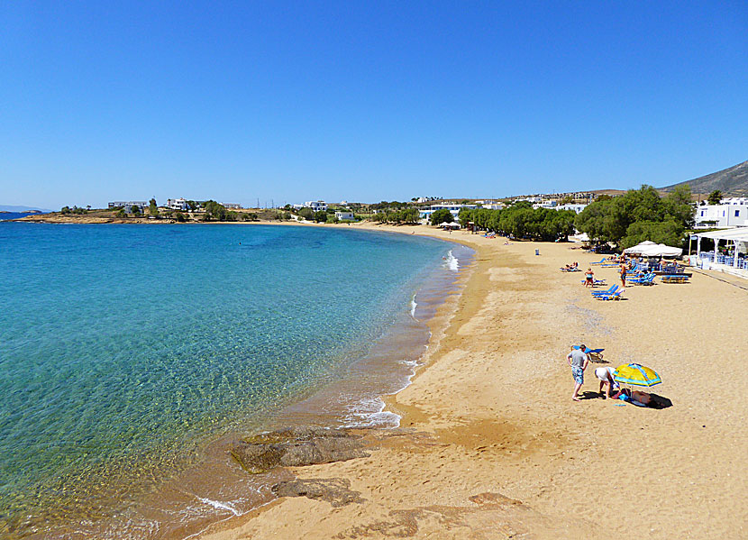 Logaras beach nära Piso Livadi på Paros.