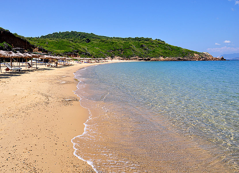 Mandraki beach på Skiathos.