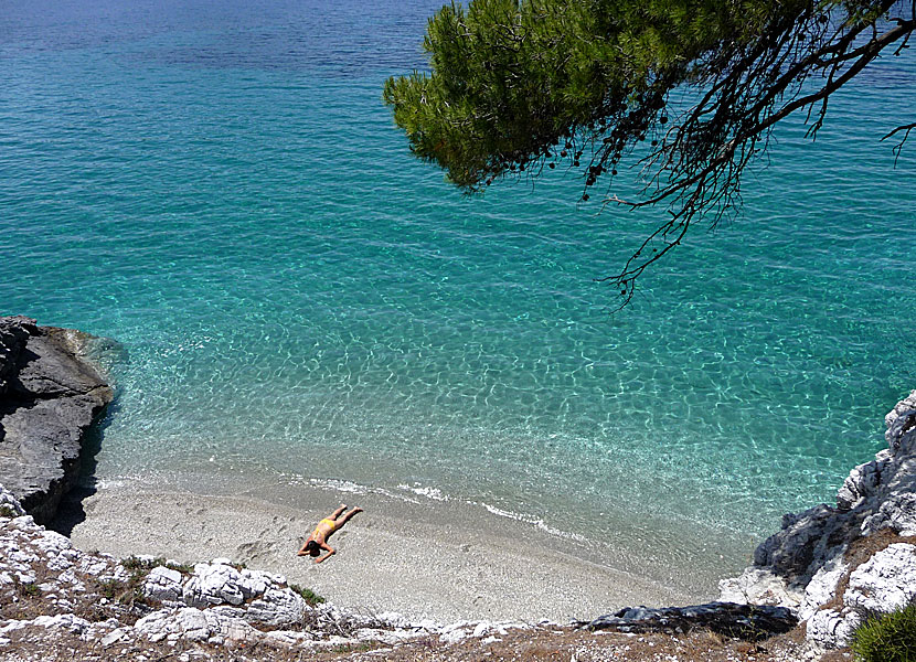 Kalimera beach på Skopelos.