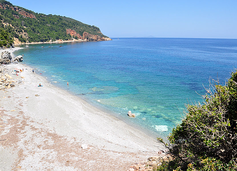 Velanio beach på Skopelos