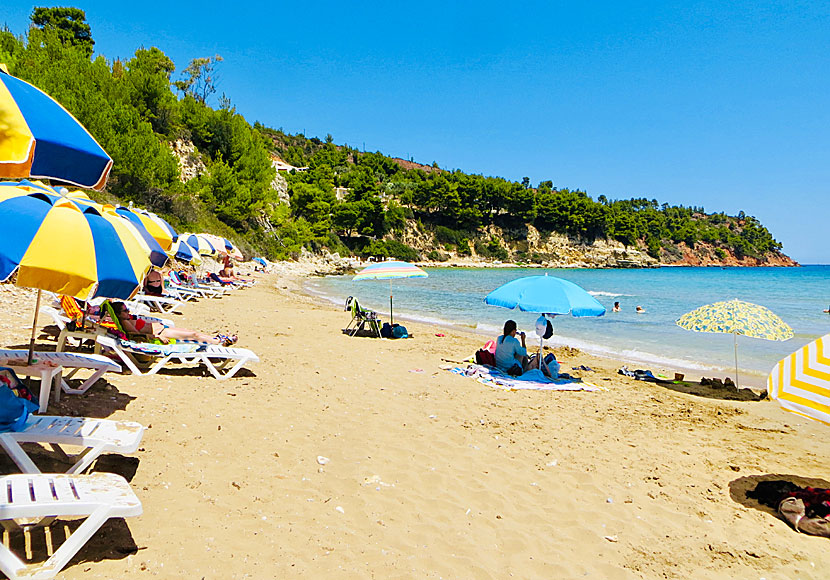 Chrisi Milia beach på Alonisssos i Grekland.