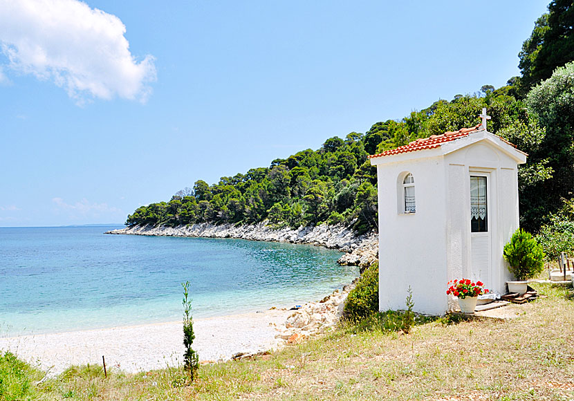 Leftos Gialos beach är en av Alonissos bästa stränder. 