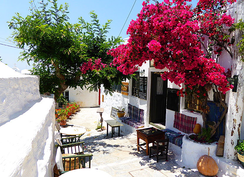 Kafé och bar i Chora på Amorgos.