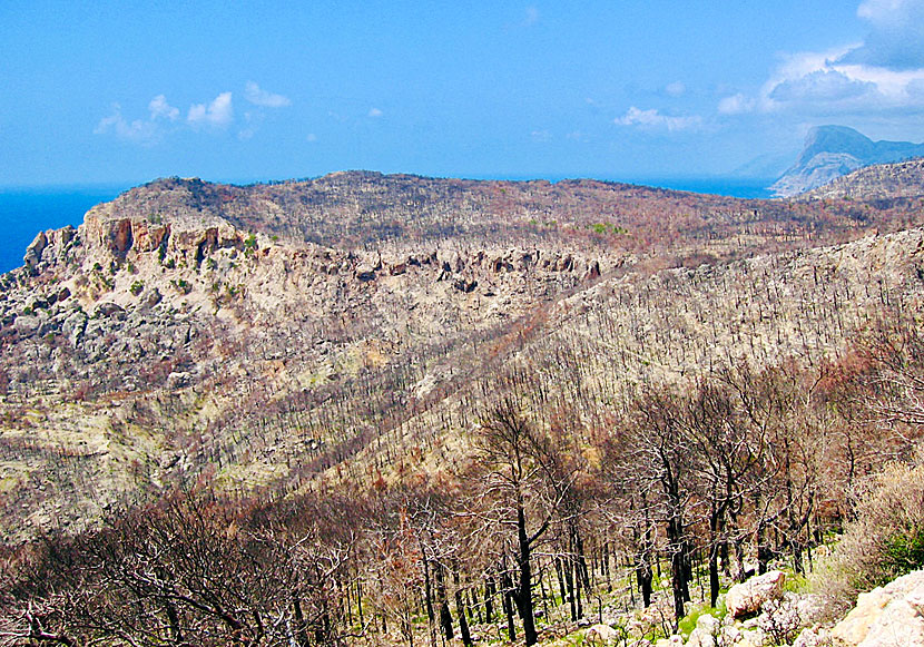 Skogsbränder på ön Karpathos i Grekland.