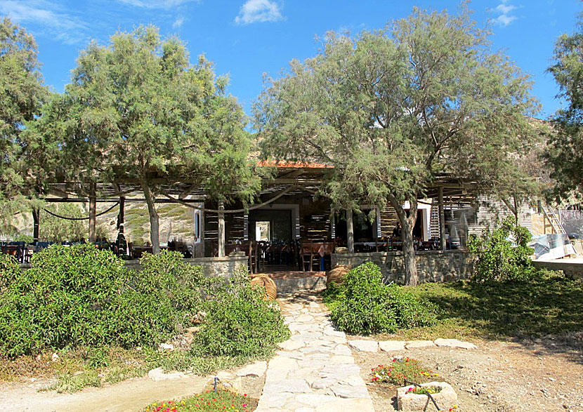 Taverna Under The Trees ligger 4,5 kilometer norr om Finiki.