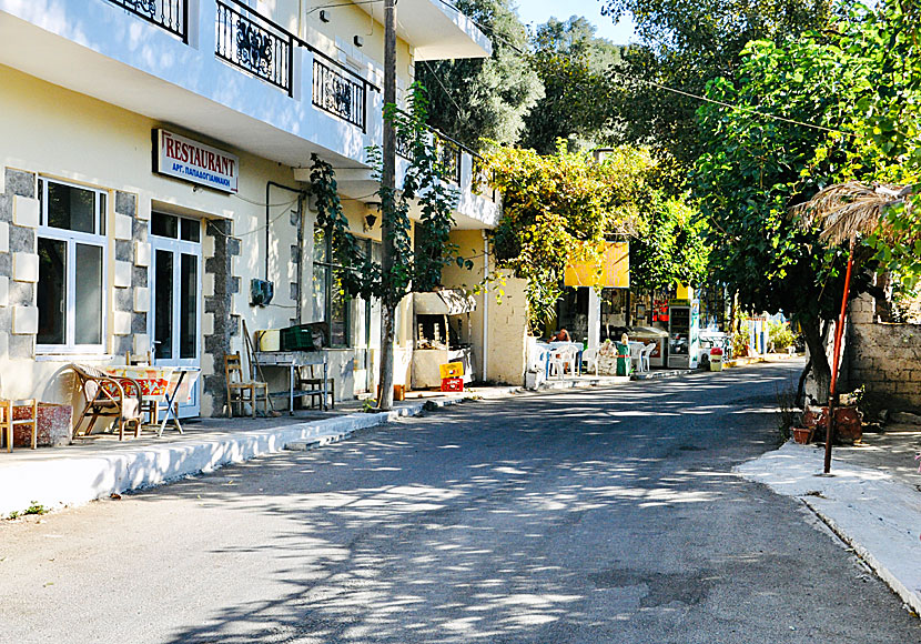 Alfa Café and Rooms i Azogires norr om Paleochora på södra Kreta.