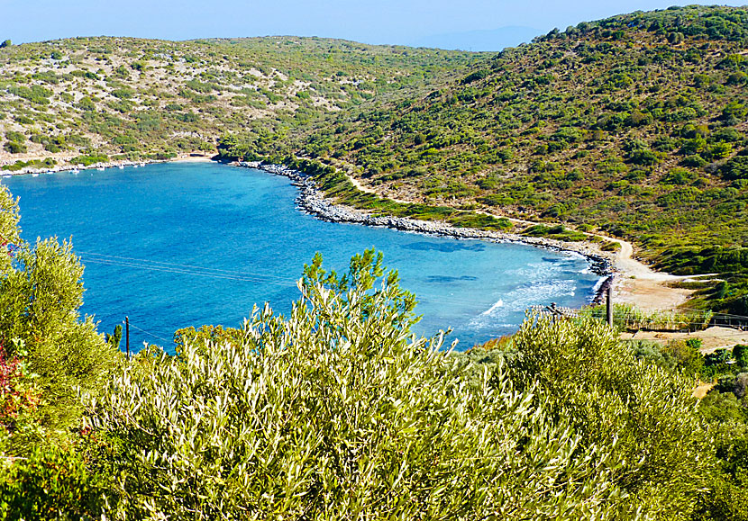 Galazio beach i Agia Paraskevi på Samos i Gekland.