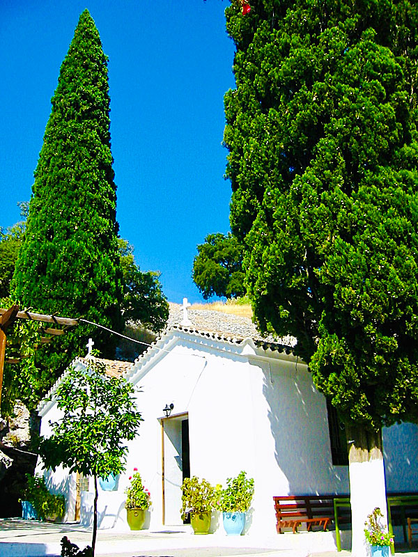 Den gröna ön Samos är känd för sina vackra cypresser.