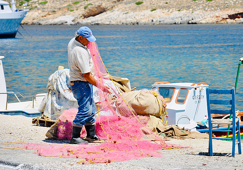 Färsk fisk och färska skaldjur i Kamares på Sifnos.