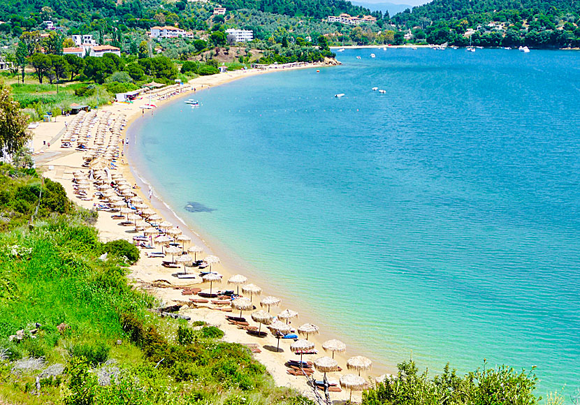 Agia Paraskevi beach på Skiathos i Grekland.