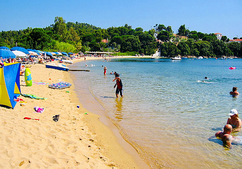 Barnvänliga Kolios beach nära Vromolimnos på Skiathos i Grekland.