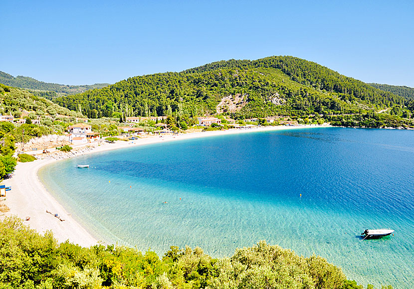 Panormos by och strand på Skopelos i Grekland.