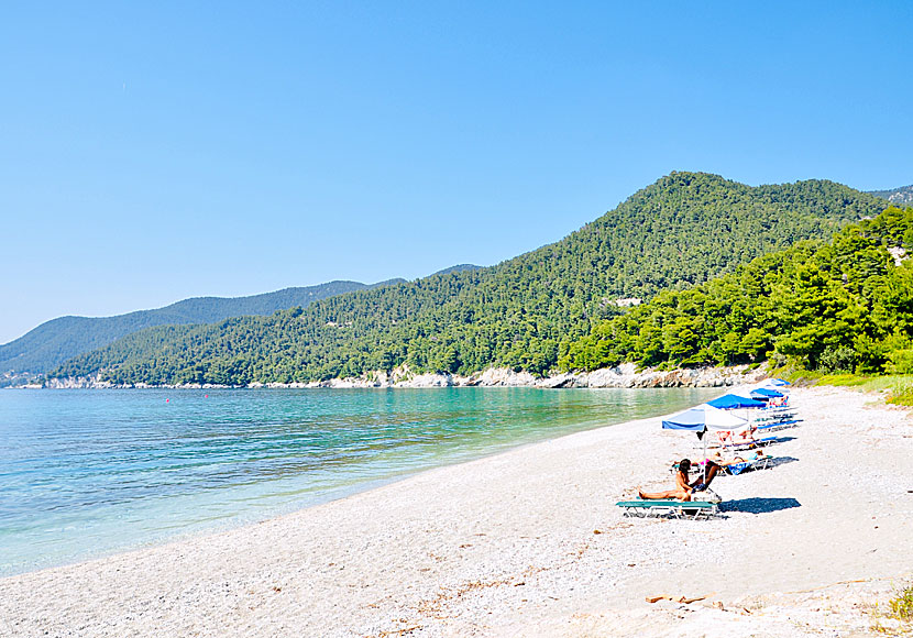 Milia beach på Skopelos i Grekland.