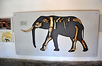 Elefantmuseet i Megalo Chorio.