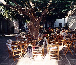 Mandrakin ihana tori.
