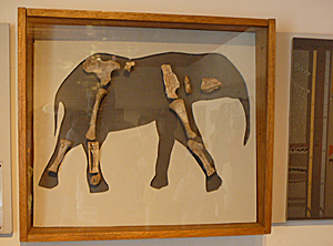 Megalo Chorion elefanttimuseo. 