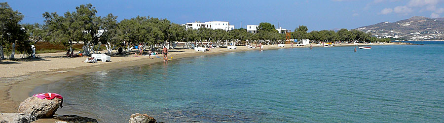 Psaraliki beach. Antiparos.