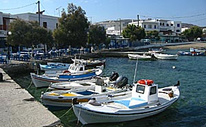 Pollonia.