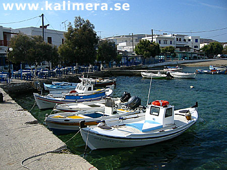 Pollonia.