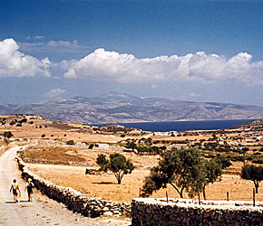 Maalaismainen Schinoussa, taustalla Naxos.