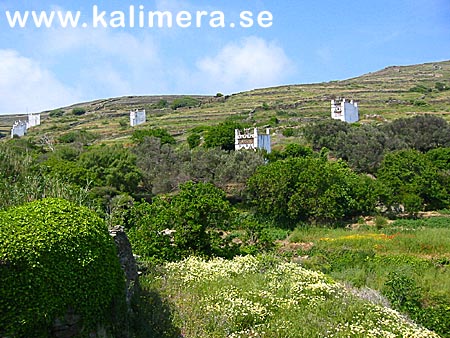 Duvslag. Tinos.