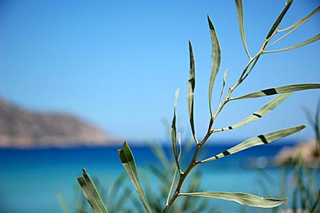 Karpathos.