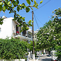 Pension Sunshine - Pythagorion