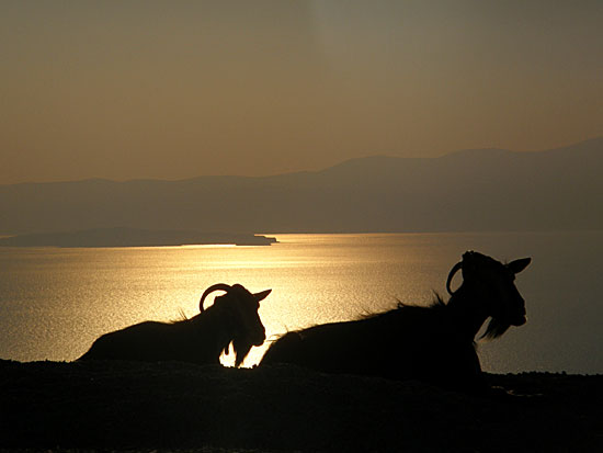 Amorgos.