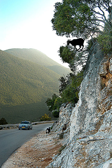 Antisamos - Kefalonia.