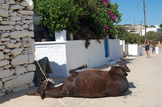 Amorgos.