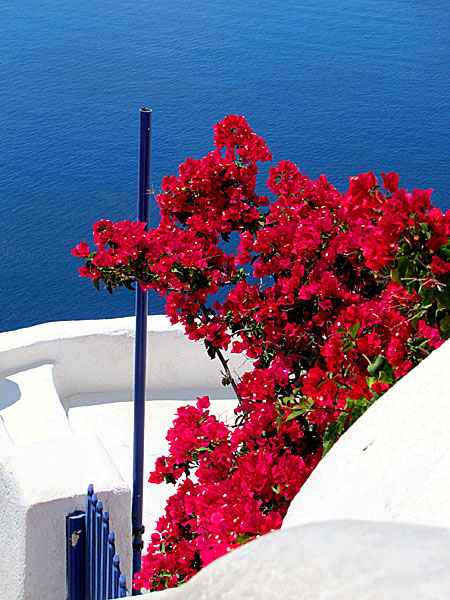 Santorini