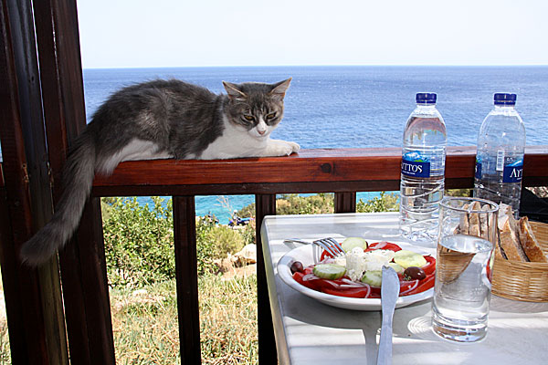 Tavernan vid Apela beach på Karpathos
