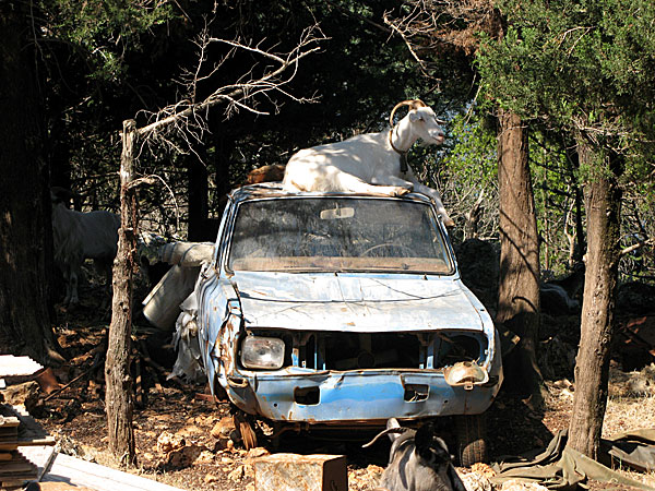 Utanför Sami på Kefalonia