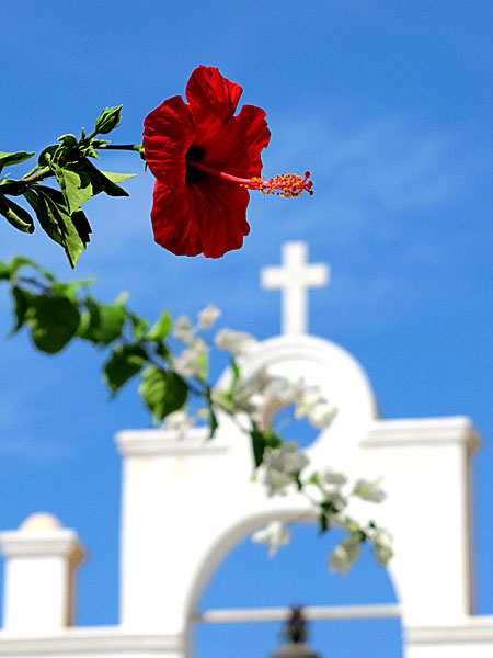 Pigadia på Karpathos
