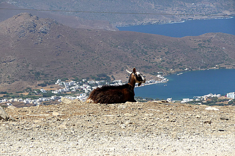 Katapola på Amorgos.