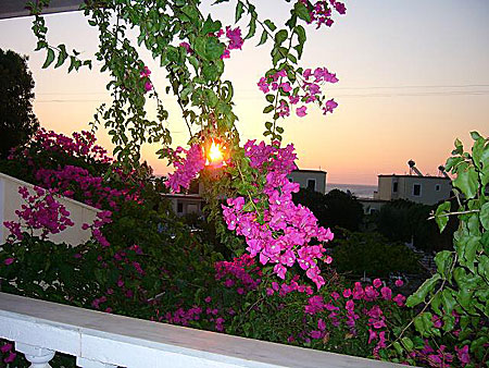 Karpathos. Pigadia.