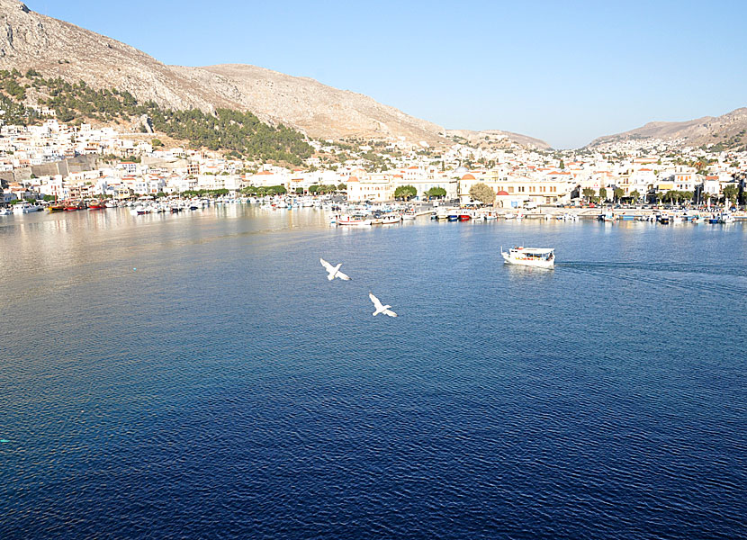 Pothia på Kalymnos