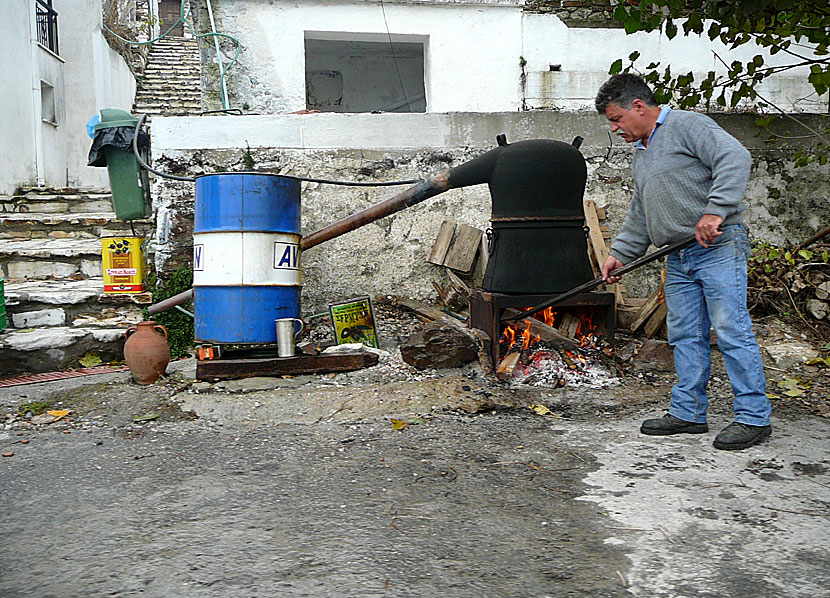 Naxos. Koronida. Raki.