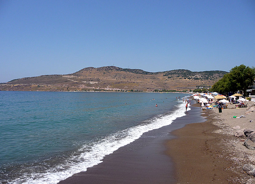 Petra beach på Lesbos.