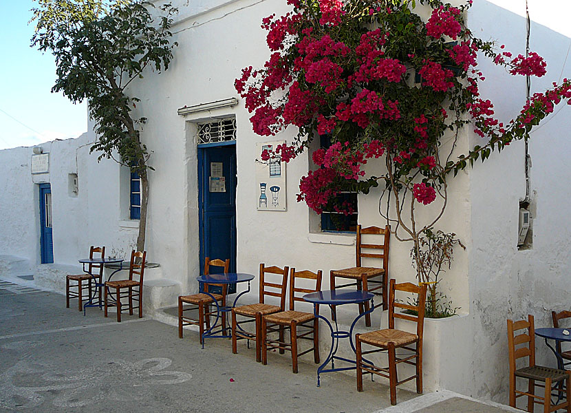 Kafé i Chora på Schinoussa.