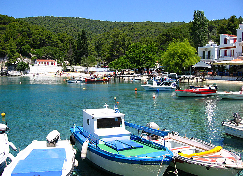 Agnontas på Skopelos.