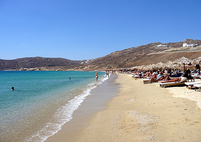 Mykonos bästa stränder. Elia beach.