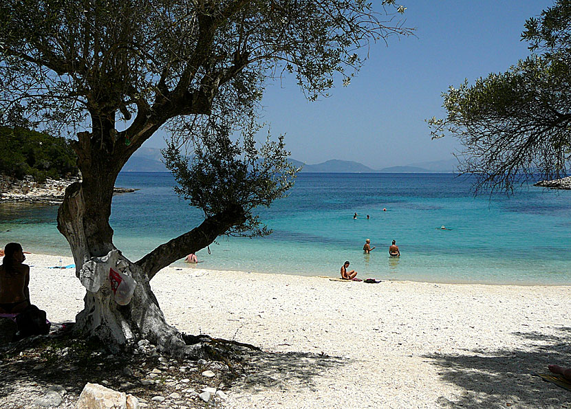 Emblisi beach nära Fiskardo på Kefalonia.