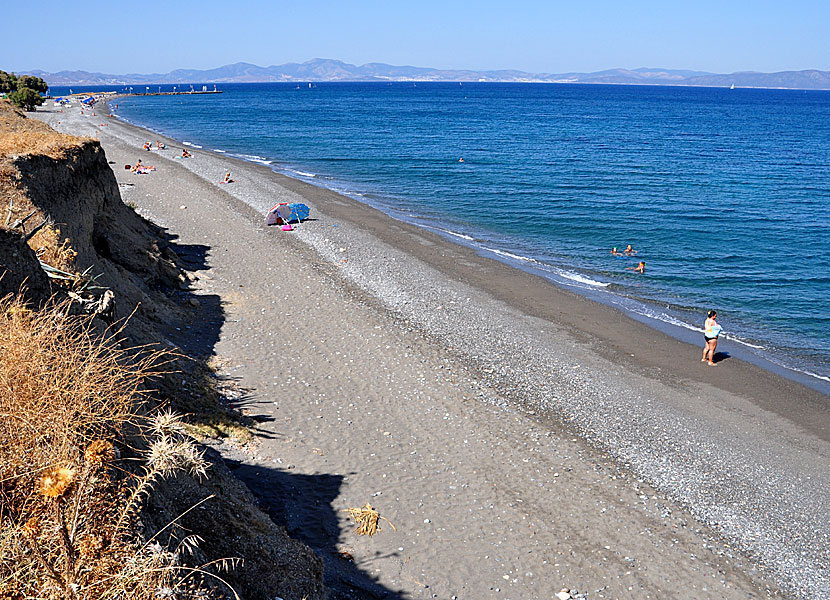 Kos bästa stränder. Agios Fokas beach.