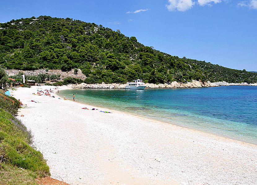 Leftos Gialos beach på Alonissos.