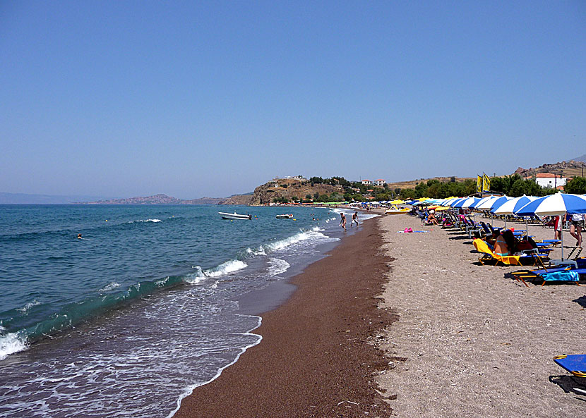 Anaxos beach på Lesbos.